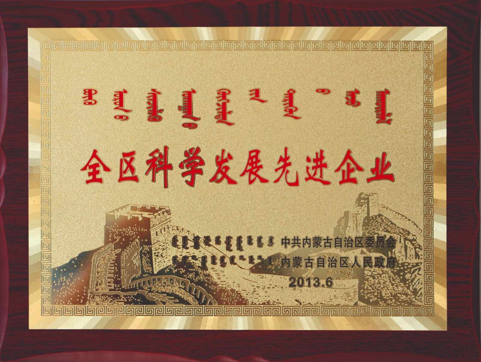 全区科学发展先进企业