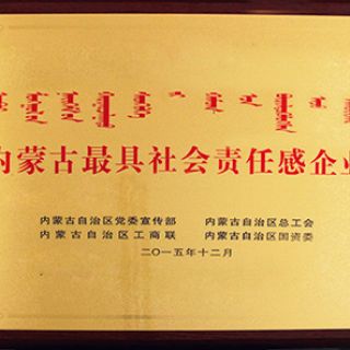 内蒙古最具社会责任感企业